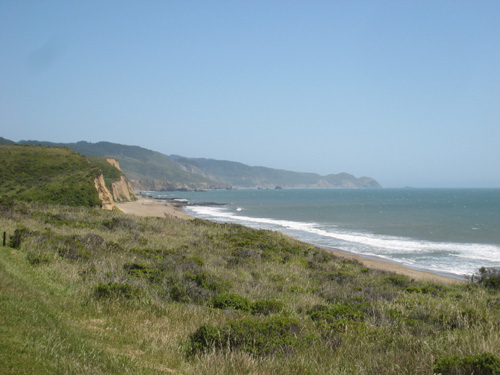 point reyes national sea shore